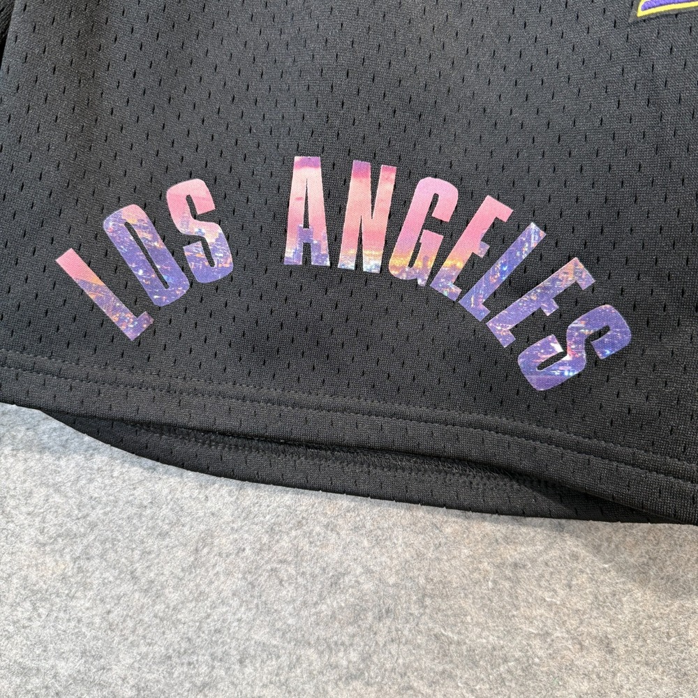 Pro Standard Los Angeles Lakers City Scape Sunset Mesh Shorts Large Heavyweight - Picture 2 of 16